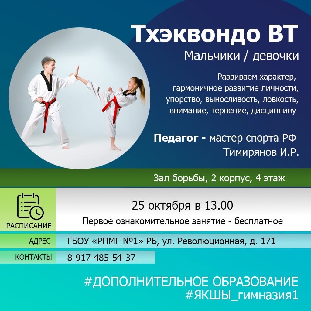 Тхэквондо ВТ