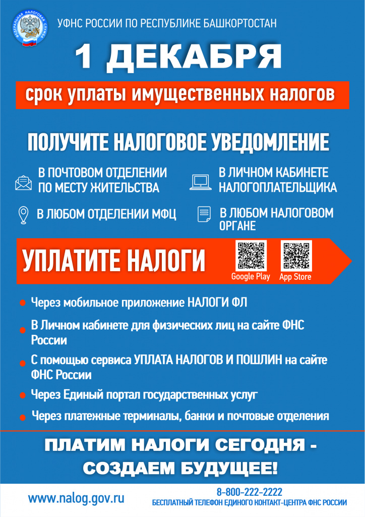 1 декабря срок уплаты имущественных налогов.jpg