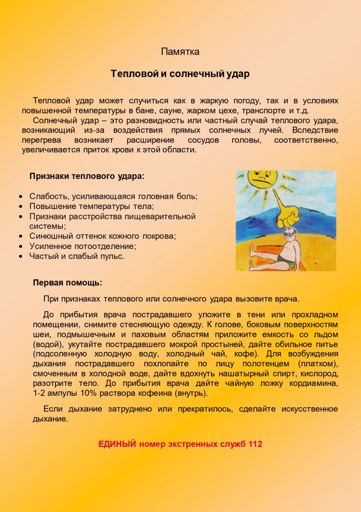 Приложение 2 солнечный удар.docx (17860921 v1)_page-0001.jpg